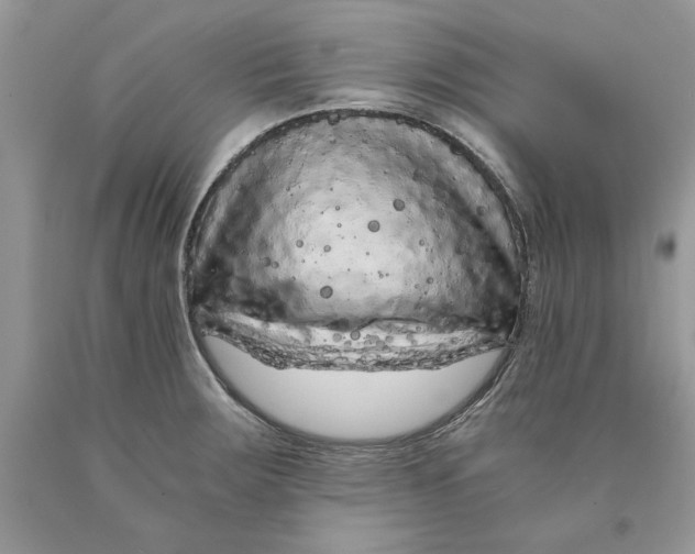 X0000089951283200707271832