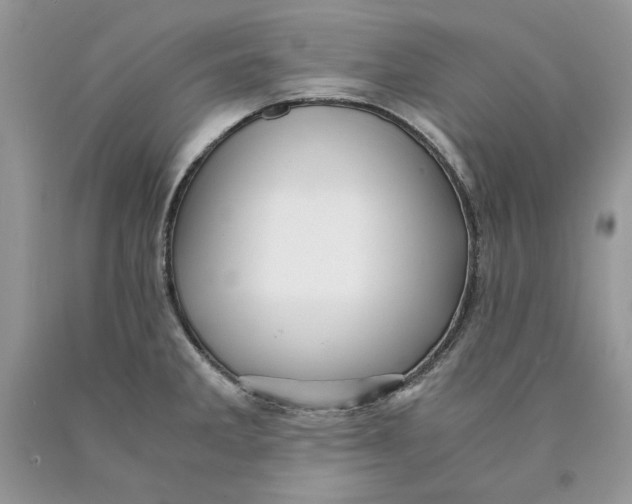 X0000089951285200707271832