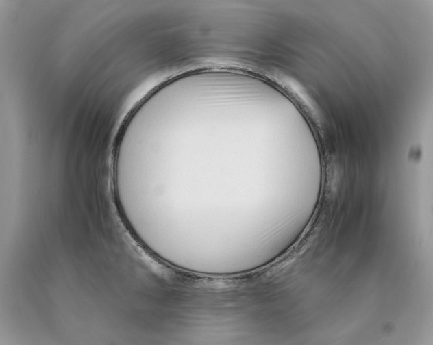 X0000089951286200707271832