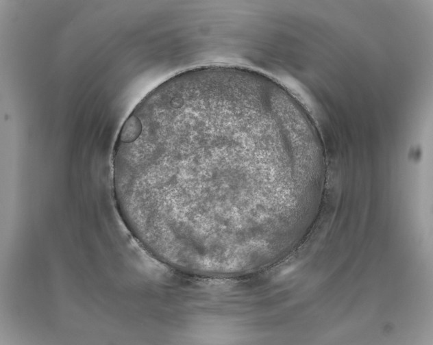 X0000089951287200707271832