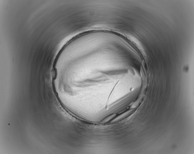 X0000089951288200707271832