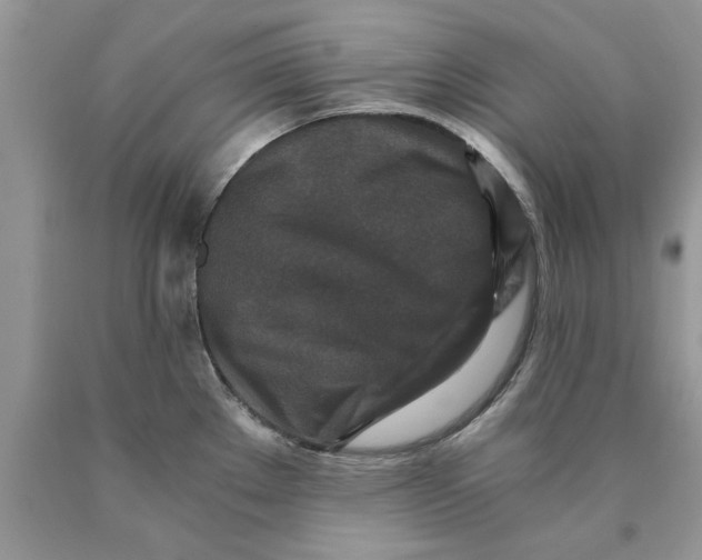 X0000089951289200707271832