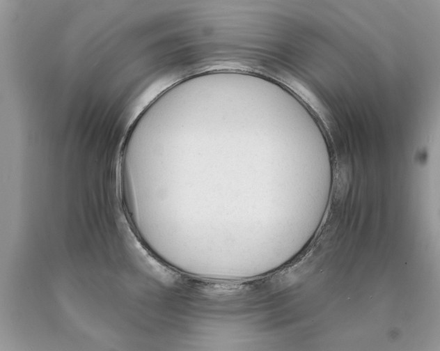 X0000089951290200707271832