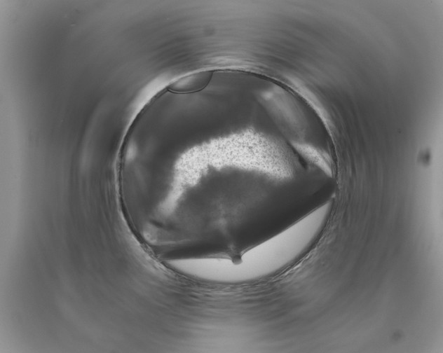 X0000089951291200707271832