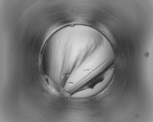 X0000089951292200707271832