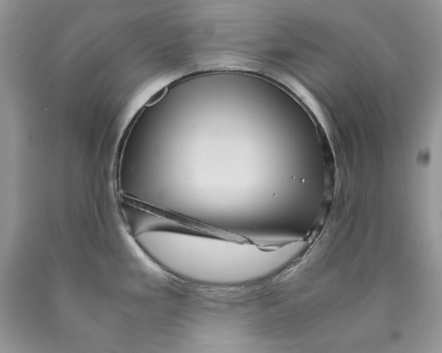 X0000089951293200707271832