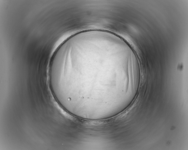 X0000089951294200707271832