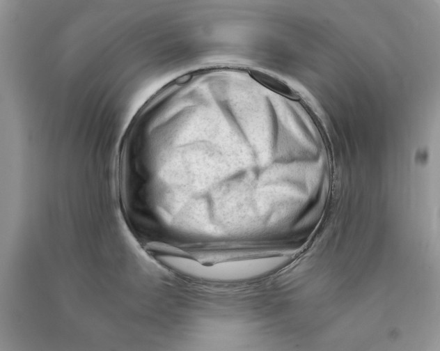 X0000089951295200707271832