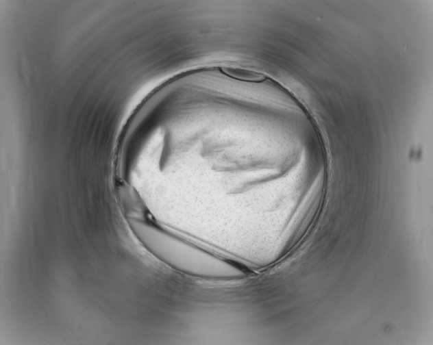 X0000089951296200707271832