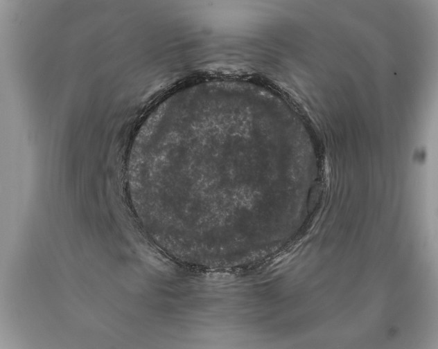 X0000089951297200707271831