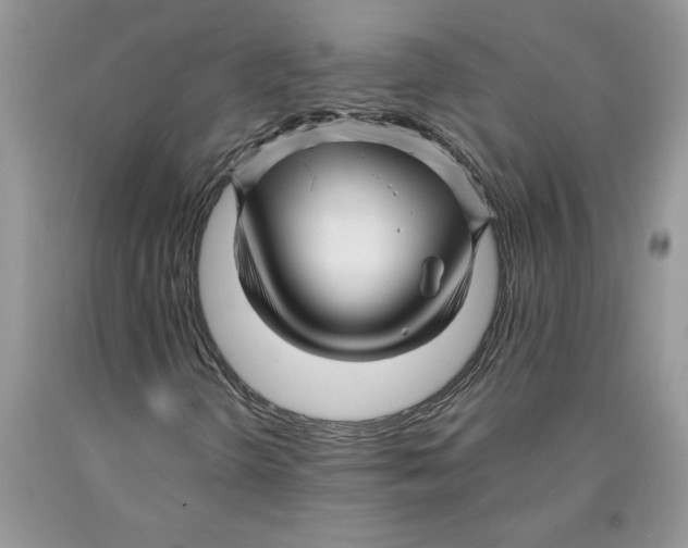 X0000089951298200707271831