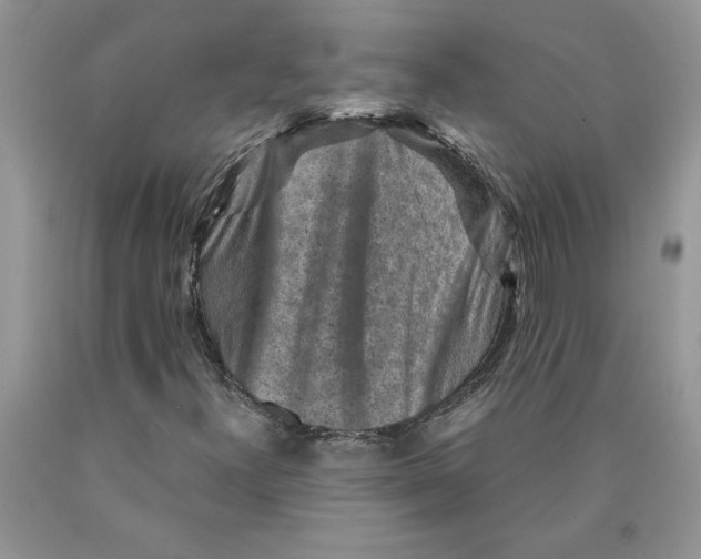 X0000089951300200707271831