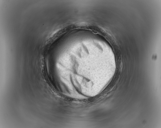 X0000089951301200707271831