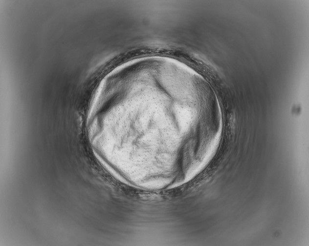 X0000089951302200707271831