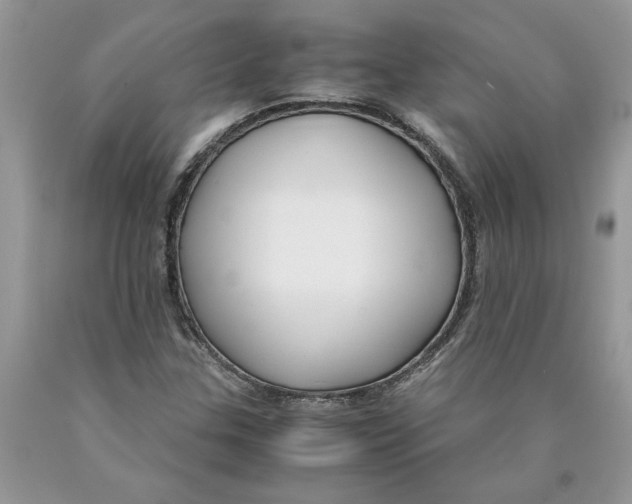 X0000089951307200707271831