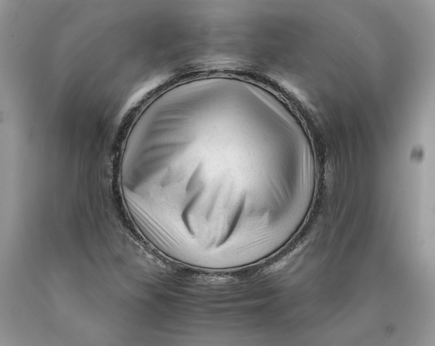 X0000089951309200707271831