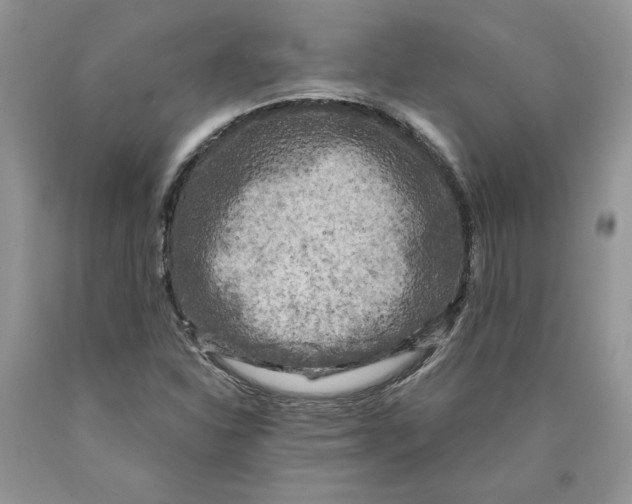 X0000089951310200707271831