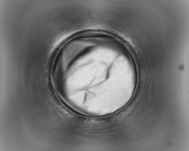 X0000089951311200707271831