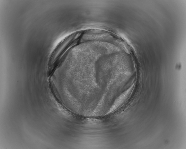 X0000089951312200707271831