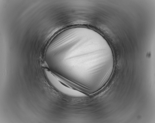 X0000089951313200707271831