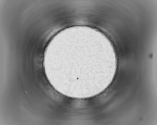 X0000089951314200707271831