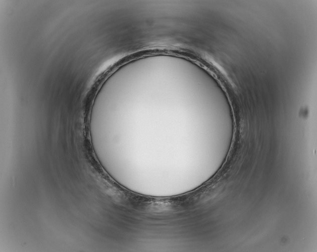 X0000089951315200707271831