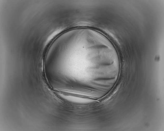 X0000089951317200707271831