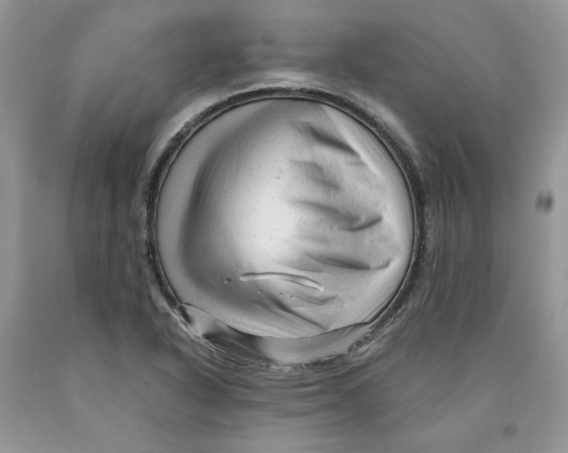 X0000089951318200707271831