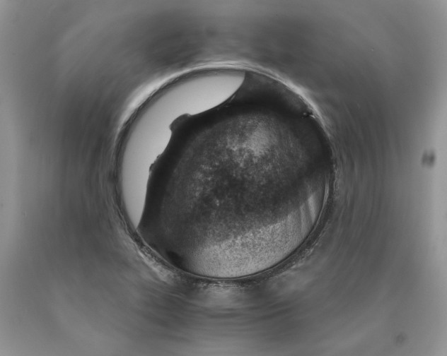 X0000089951319200707271831