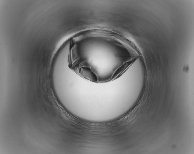 X0000089951320200707271831