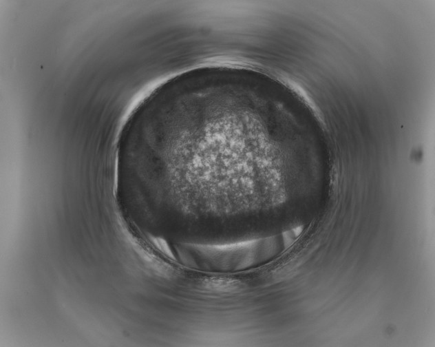 X0000089951323200707271831