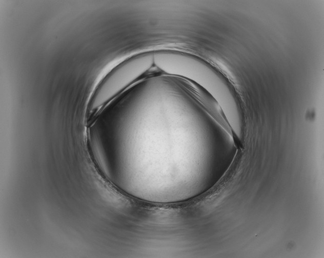 X0000089951324200707271831