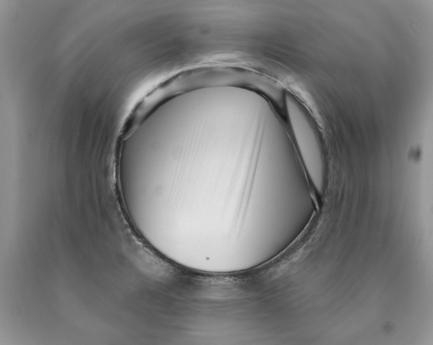 X0000089951328200707271831