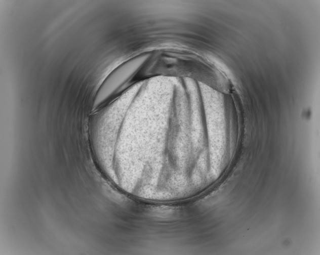 X0000089951329200707271831