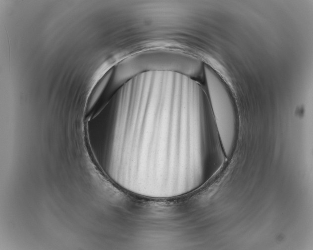 X0000089951330200707271831