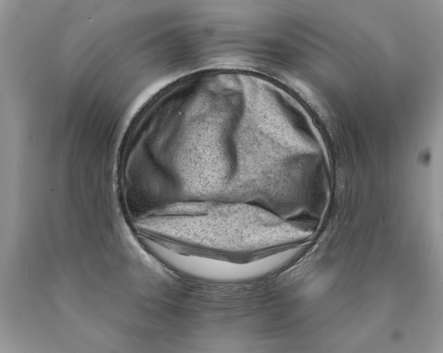 X0000089951331200707271831