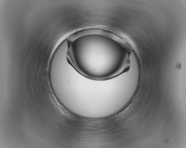 X0000089951332200707271831