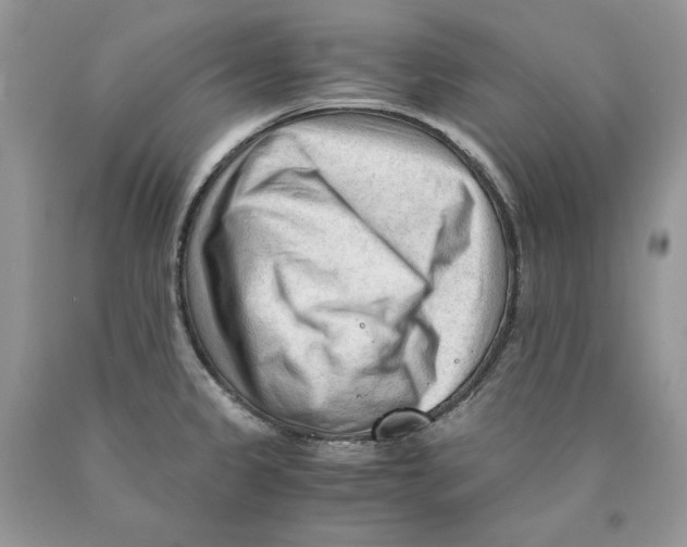 X0000089951333200707271831