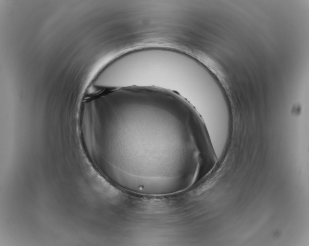 X0000089951334200707271831