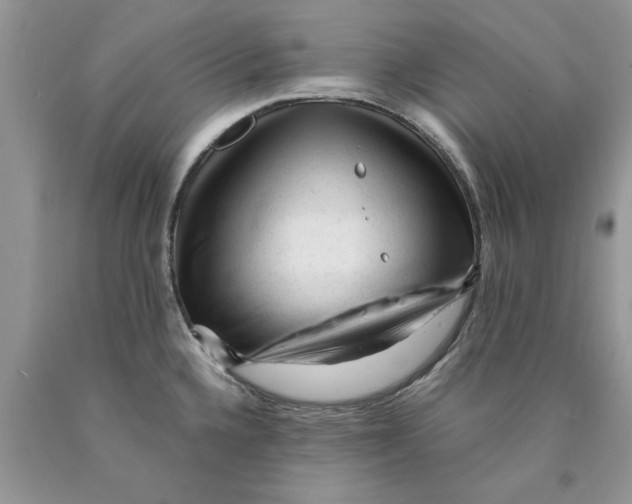 X0000089951336200707271832