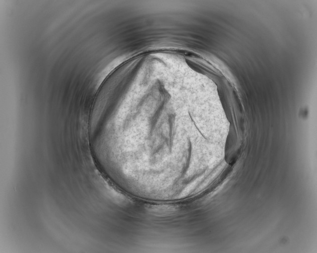 X0000089951337200707271832