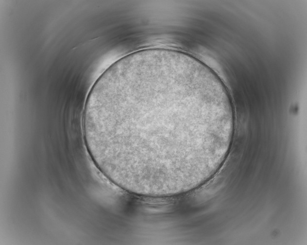 X0000089951338200707271832