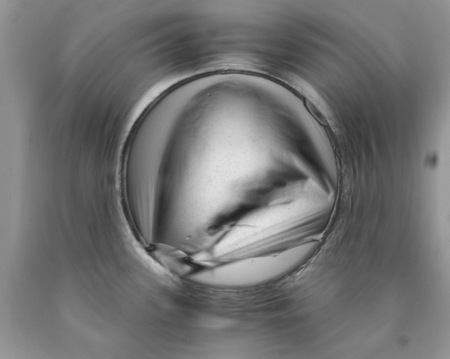 X0000089951339200707271832