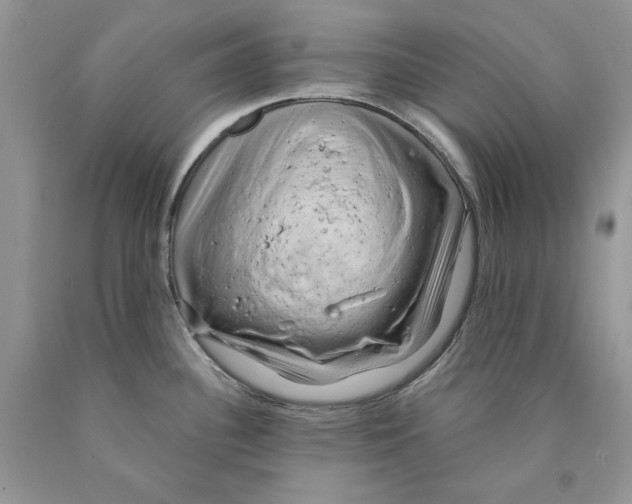 X0000089951340200707271832