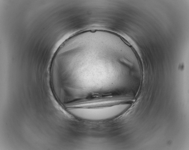 X0000089951341200707271832