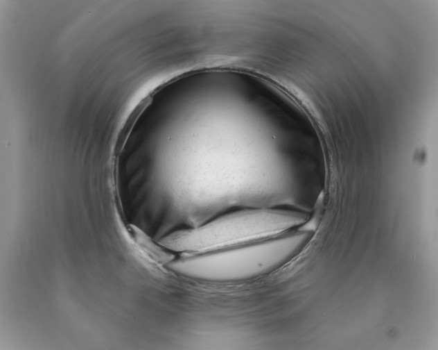 X0000089951342200707271832