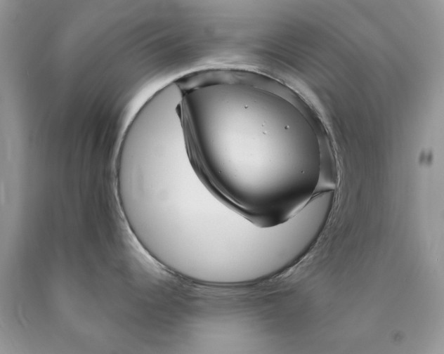 X0000089951344200707271832