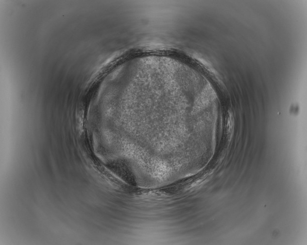 X0000089951348200707271831