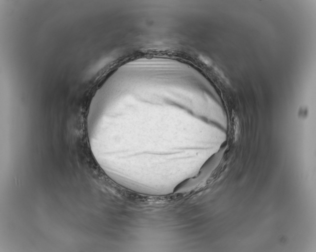 X0000089951350200707271831