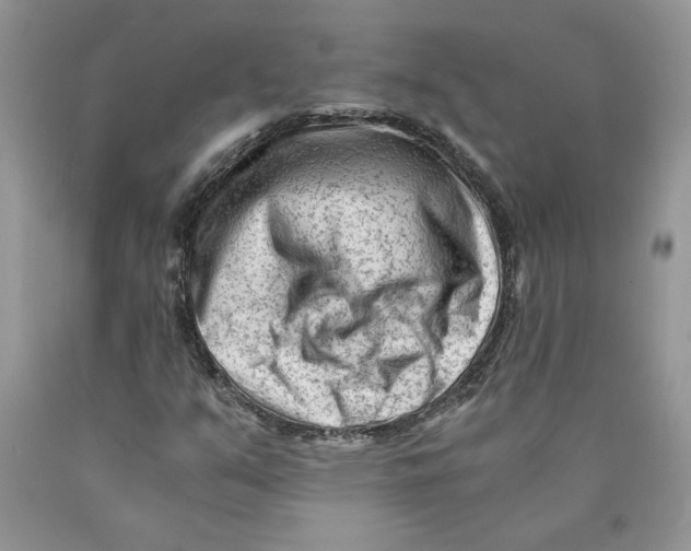 X0000089951351200707271831